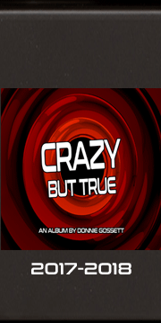 CrazyButTrueAlbum